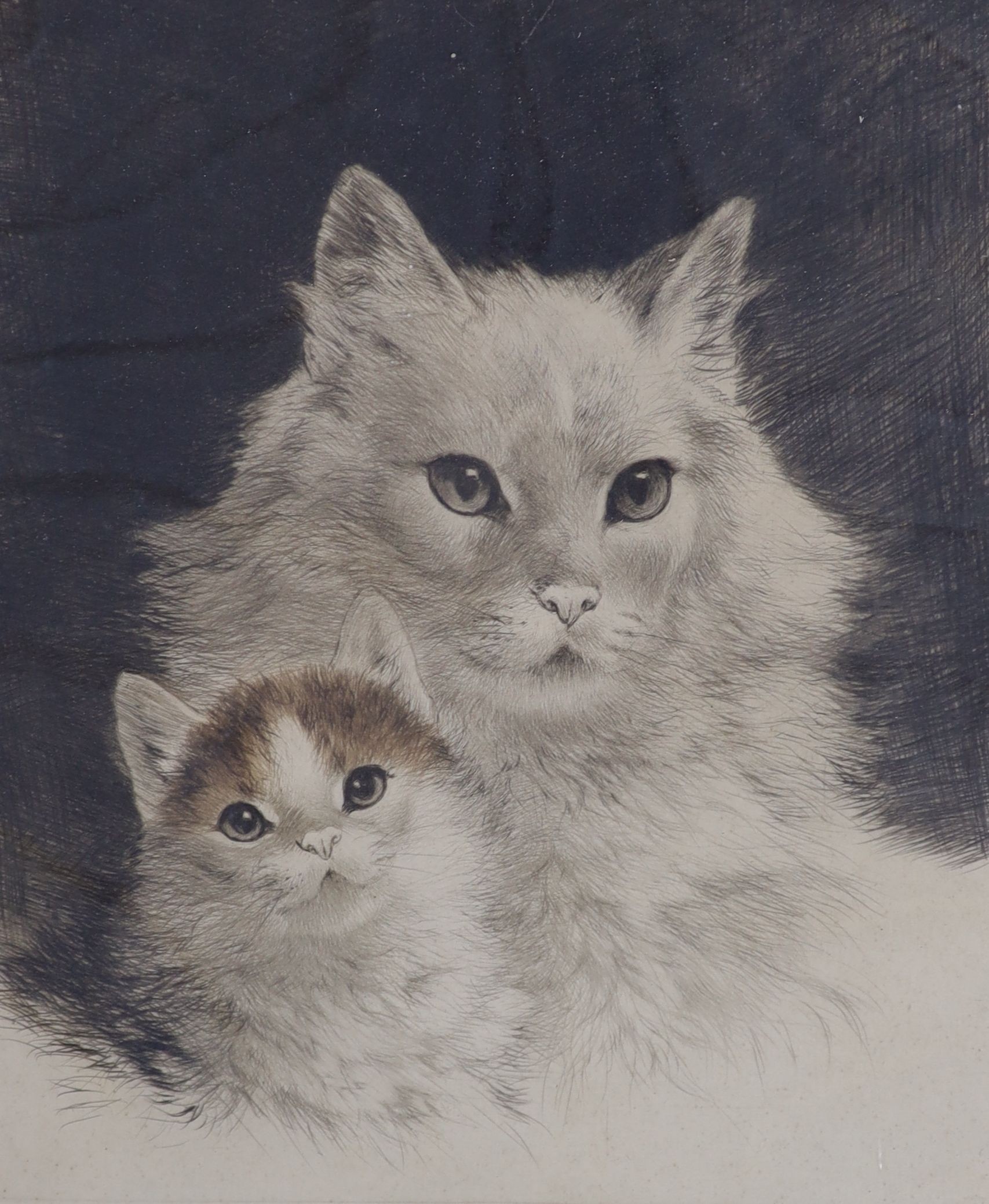 Kurt Meyer-Eberhardt (1895-1977), coloured etching, Cat and kitten, signed in pencil, overall 40 x 31cm